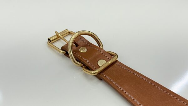 Collar premium Talla M - Miele dorato - Image 2