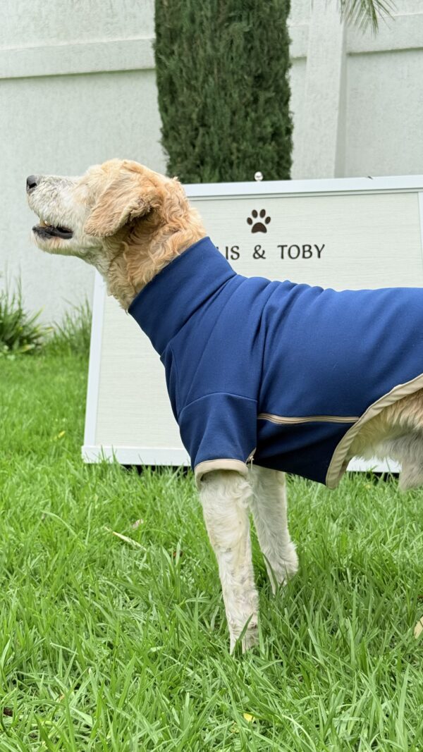 Sudadera Witoly Talla 5 - Royal Blue / Beige - Image 3